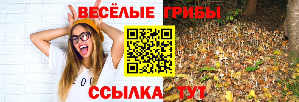 Псилоцибиновые грибы Cubensis  Вход с VPN  Смоленск 